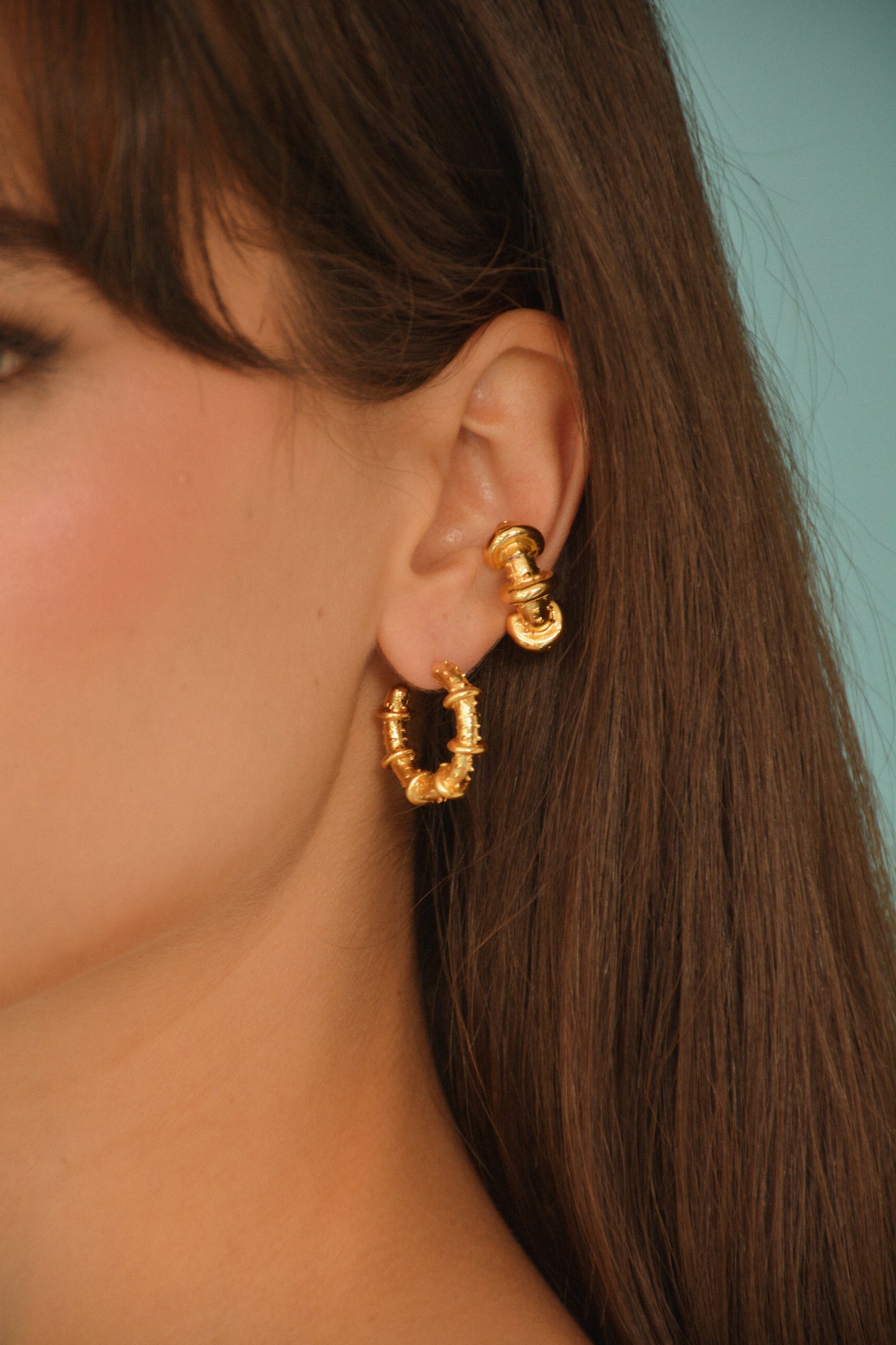 Medium Hoops Earrings
