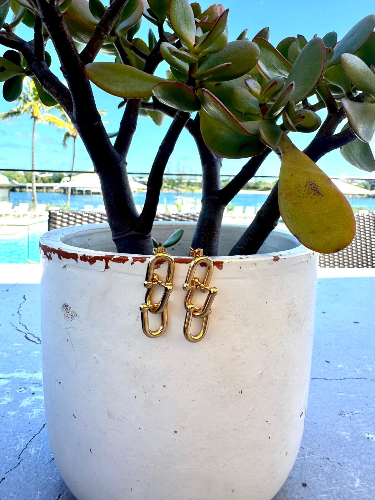 Bling Earrings